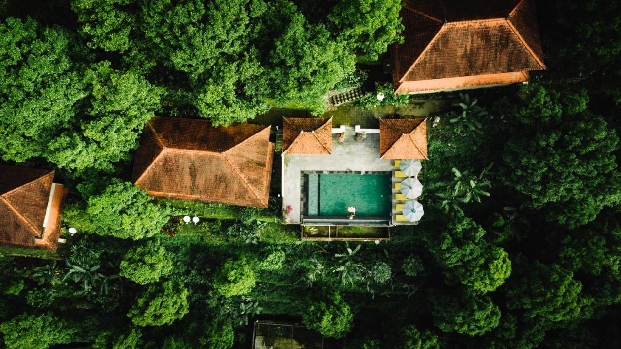 Munduk Sari Resort Kültér fotó