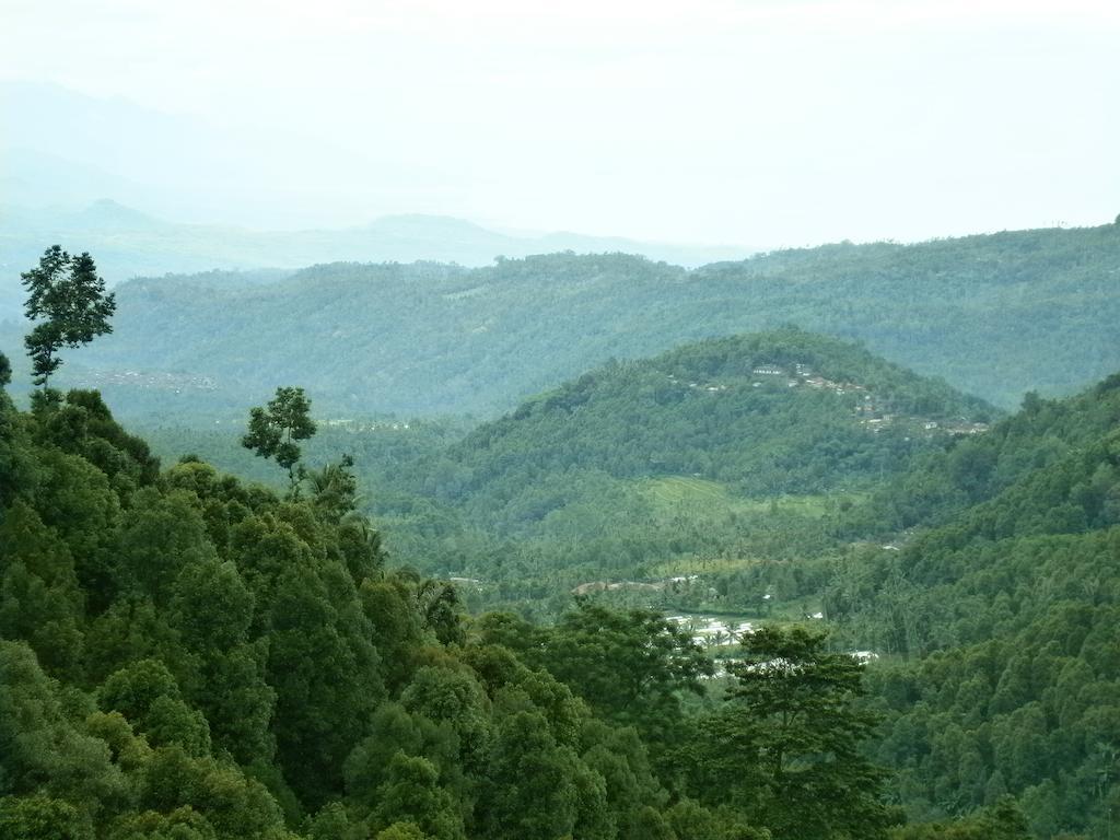 Munduk Sari Resort Kültér fotó